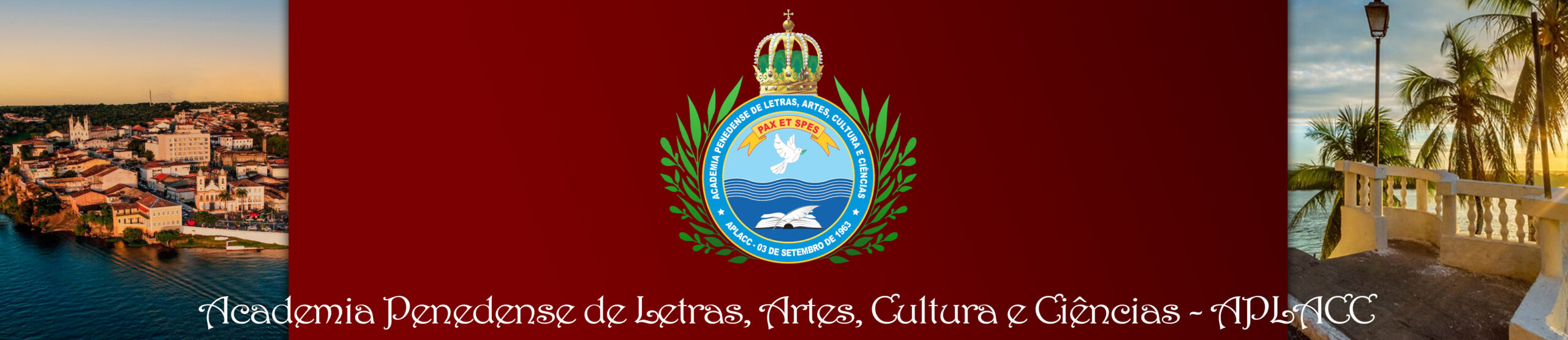 aplacc.org.br